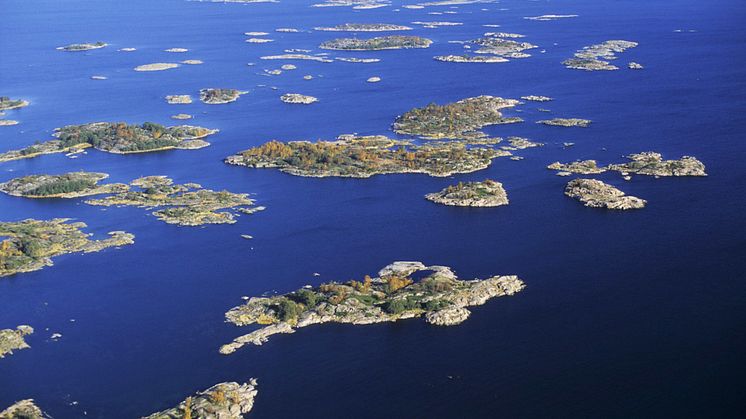 Strömma och WWF samarbetar för att rädda Östersjön