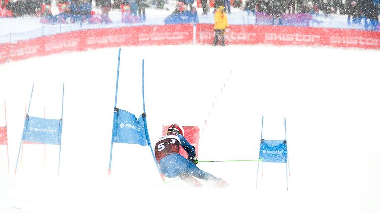 SM-veckan 2023 i Skövde bjuder på parallellslalom i Billingebacken. Initiativtagare är före detta landslagsåkaren Emil Johansson. Foto: Ski Team Sweden Alpine