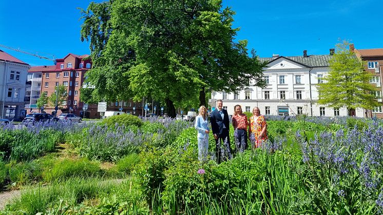 Busskort och biologisk mångfald i Ansvar för Halmstads budgetförslag