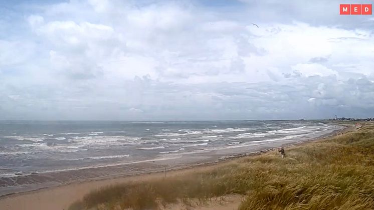 Olofsbo strand, Falkenberg