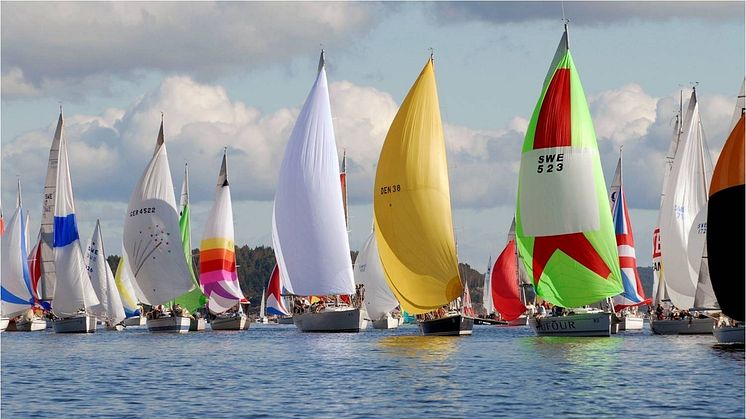 Tjörn Runt spinnaker i sol