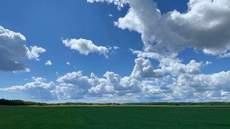 Landsbygdsrådets Eldsjälspris är ett nytt pris som delas ut av Karlstads kommun för att hylla den ideella kraften på landsbygden.