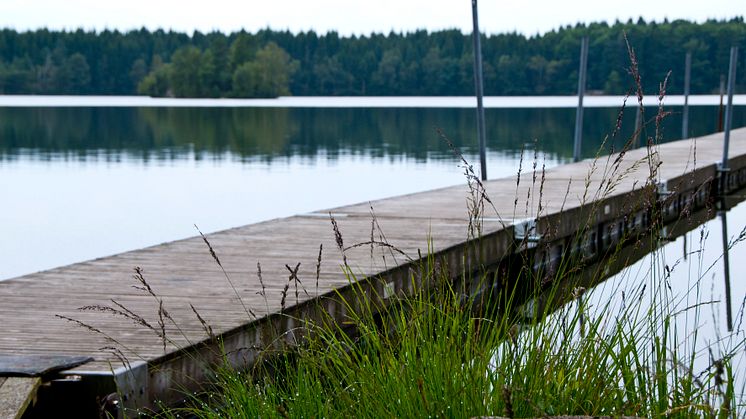 Stora Iglakärr är ett av de ställen där vi mäter badvattentemperaturen med hjälp av sensorer i sommar.