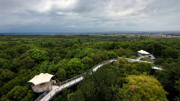 Vandring på Hainichlandweg