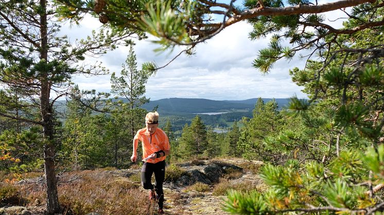 Oringen Höga Kusten 2018 är över. Närmare 20 000 orienterare har lämnat Höga Kusten för denna gång- men magkänslan säger mig att de kommer tillbaka !