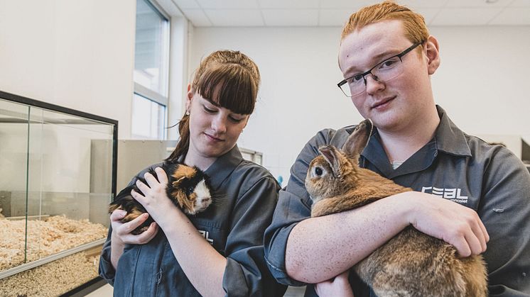 Lärande Partner lanserar digital Grundkurs i Zoohandel tillsammans med Zoobranschens Riksförbund