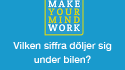 Är du också en problemlösare?