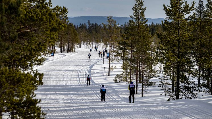 Vasaloppets vintervecka 2022 – intervju och summering