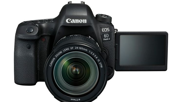 Canon EOS 6D Mark II, EF 24-105mm STM