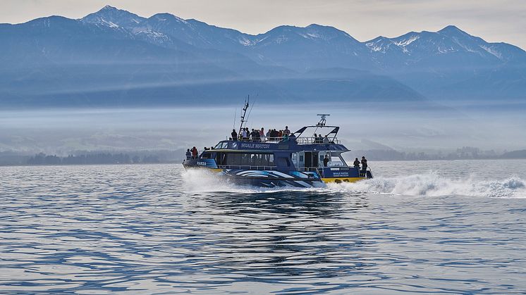 Die Katamarane von Whale Watch fahren mit Scania Motoren zu den Walbeobachtungsspots vor Kaikoura/Neuseeland.