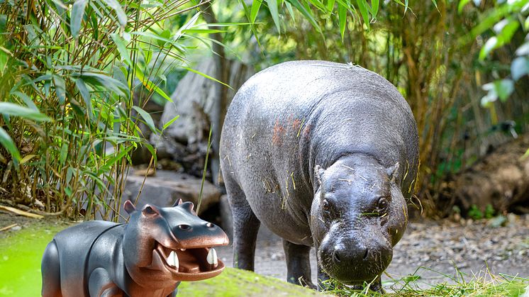 PLAYMOBIL und der Zoo Duisburg laden zum großen Zoo-Quiz ein