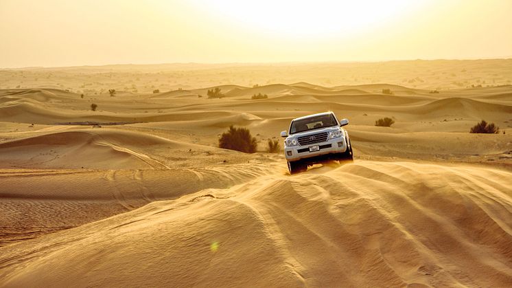 Dubai Desert Safari