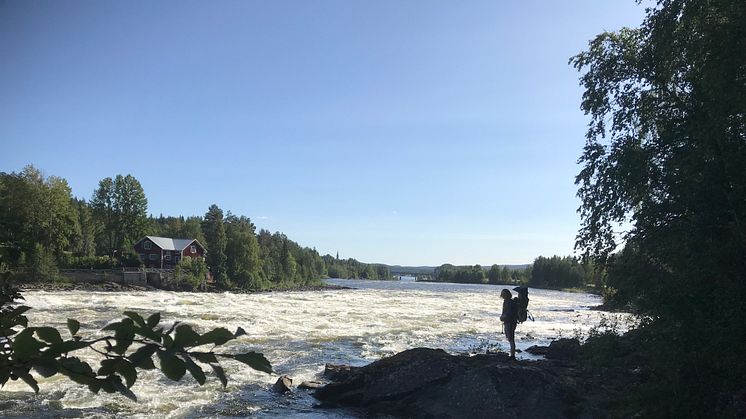 Vindeln har mycket att erbjuda i hållbarhetens tecken, allt från storslagen natur & god mat till äventyr.