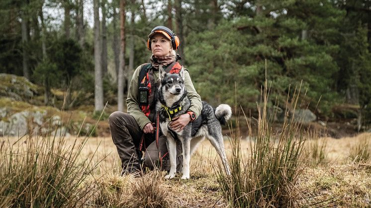 Uusilla Garmin T 5X-koirapannoilla metsästyskoiria  pystyy seuraamaan pidempään
