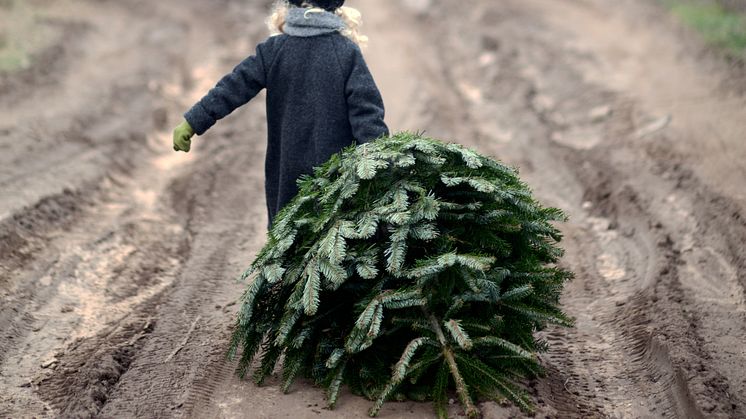 Ensam gran söker julklappar