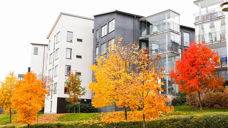 Priserna på bostadsrätter och villor ökade under oktober