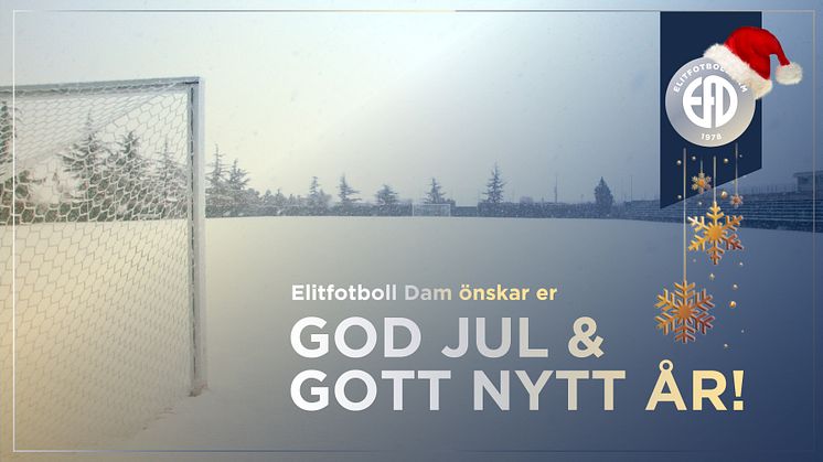 Elitfotboll Dam önskar er alla en God Jul och ett riktigt gott nytt fotbollsår!