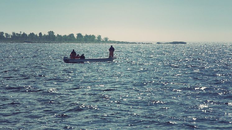 1 juni uppdaterades reglerna för det yrkesmässiga laxfisket i Bottenviken och direkt anknytande sötvattensområden. Förhandsanmälan av fångst, separat vittjning av fällor och positionsuppgifter ska minska risken att för mycket lax tas upp.