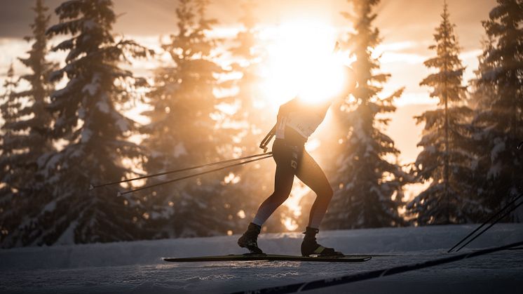 Nyhetsbrev fra Norges Skiskytterforbund