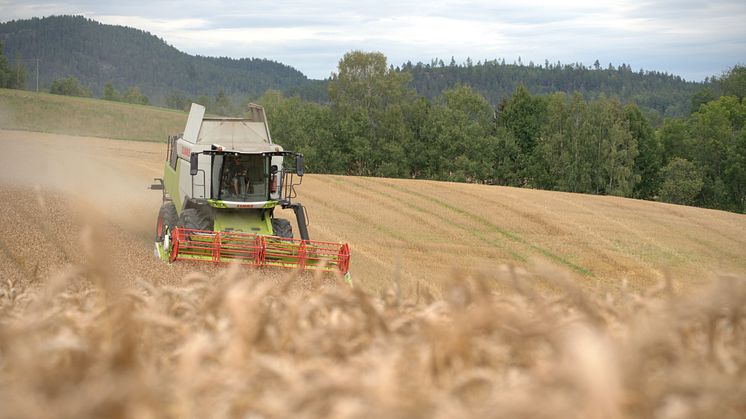 CLAAS oppnådde en markedsandel på 37,6 prosent i treskeråret 2021. 