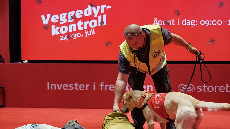 I samarbeid med Storebrand, kontrollerer Tor Iljar fra Dogpoint og labradoren Miss kofferter på Oslo lufthavn denne uken. Foto: Storebrand