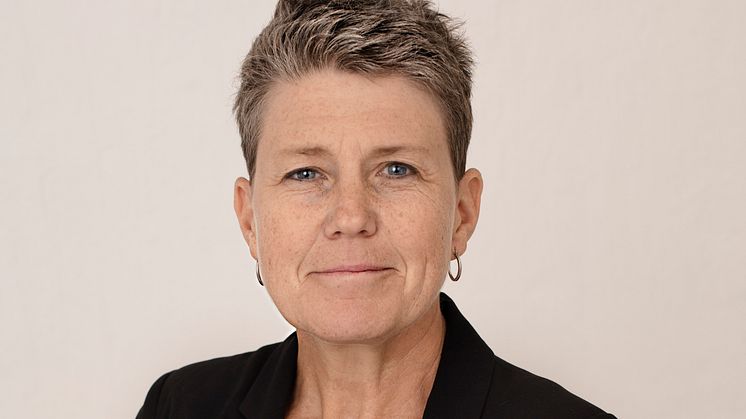 Anna Tibblin, Generalsekreterare Vi-skogen