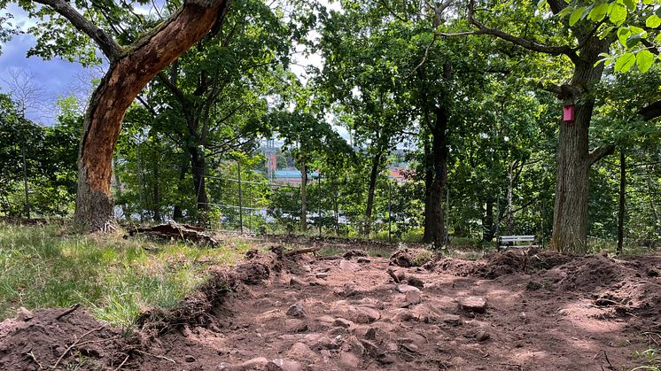 Översiktsbild från Stadsmuseets arkeologiska utredning i Burgårdsparken. Foto: Karolina Kegel