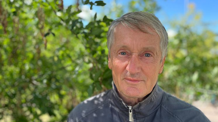 Håkan Rydin, professor emeritus i växtekologi vid Uppsala universitet. Foto: Märta Gross Hulth