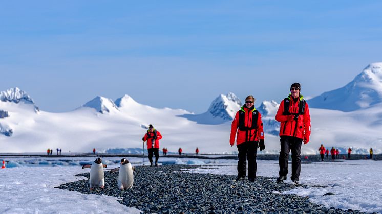 Hurtigruten Expeditions' guests in Antarctica. Photo: Dan Avila