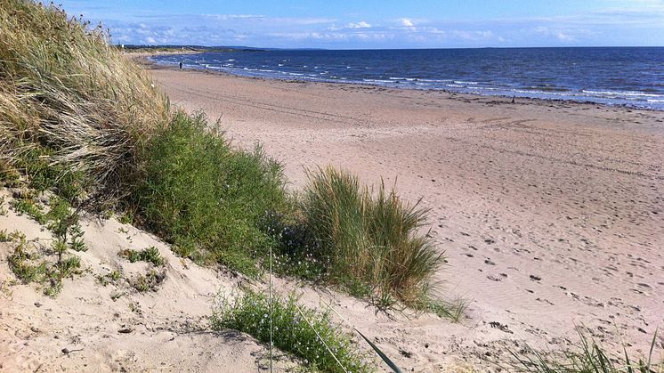 Vackra Skrea Strand, Falkenberg