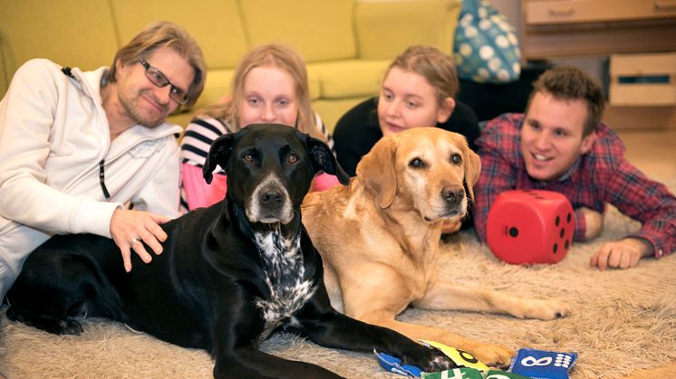 Det blev de två blandrastikarna Bella och Wilma som fick utmärkelsen Årets sociala tjänstehund 2017. Foto: Urban Brådhe 