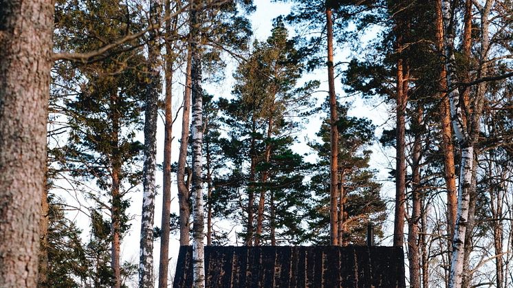 Swedish country living_3- Photo Cred Therese Elgqu