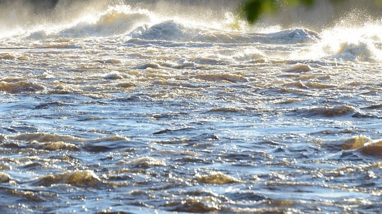 Västerdalälven är nästan helt oreglerad, därför kan flödet i älven förändras snabbt. Foto: Mostphotos 