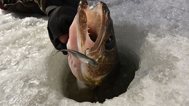 High res image - Raymarine - Ice Fishing Lifestyle