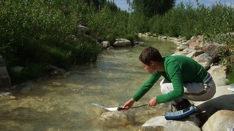 Naturlig rening av kväve från gruvor