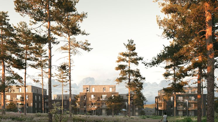 Naturhusen möter skogen i siktlinjer och gröna gårdsrum.