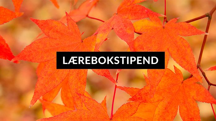 Landing-Lærebokstipend-autumn.jpg