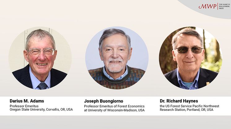 Groundbreaking economic models for integrated analysis of the forest sector