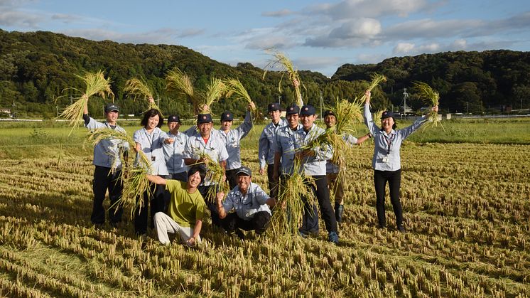ヤマハ水稲実験ほ場、初めての収穫は大豊作