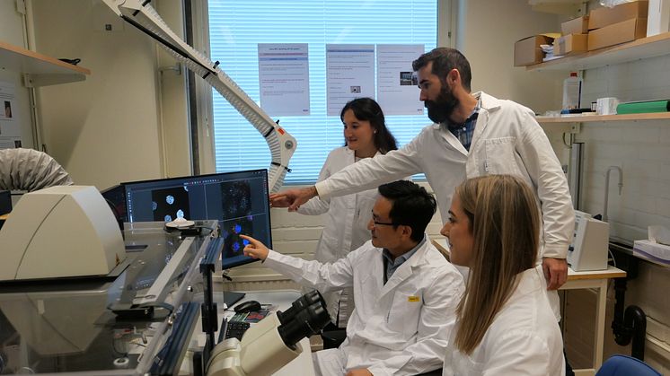 Postdoc Laura Herzog – sitting closest to the camera, professor Yaowen Wu. Postdoc Anastasia Knyazeva, and Postdoc Dale Corkery. Photo: Shuang Li