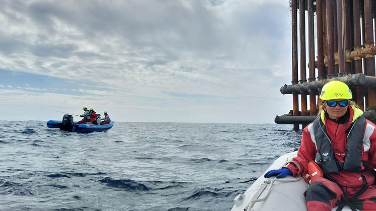 Nyt studie: Forskere vil undersøge offshore-installationers betydning for livet i havet