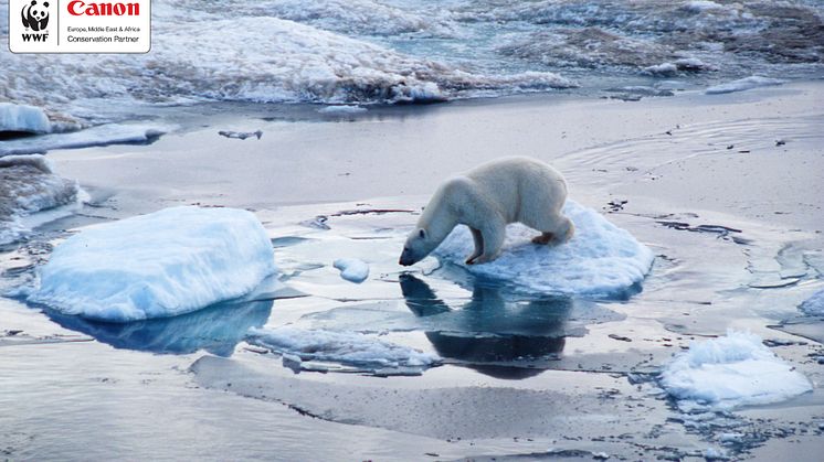 Canon och WWF firar 10 år av framgångsrikt samarbete