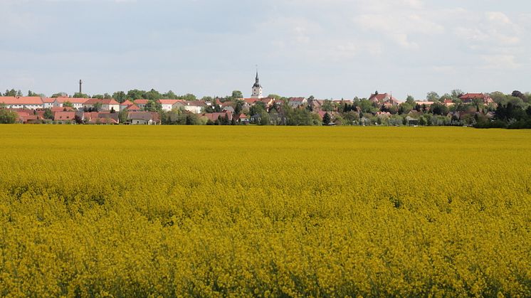 Die Skyline der Gemeinde Brandis. Foto/Rechte: Stadt Brandis