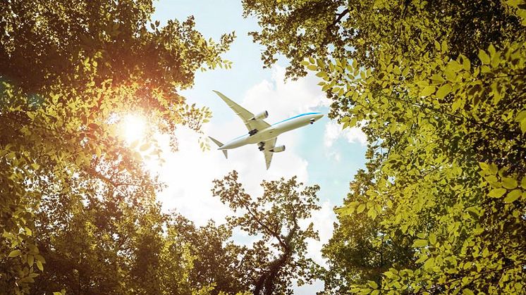 Internationellt samarbete får grönt ljus för fortsatt arbete med bioflygbränsle av skogsrester