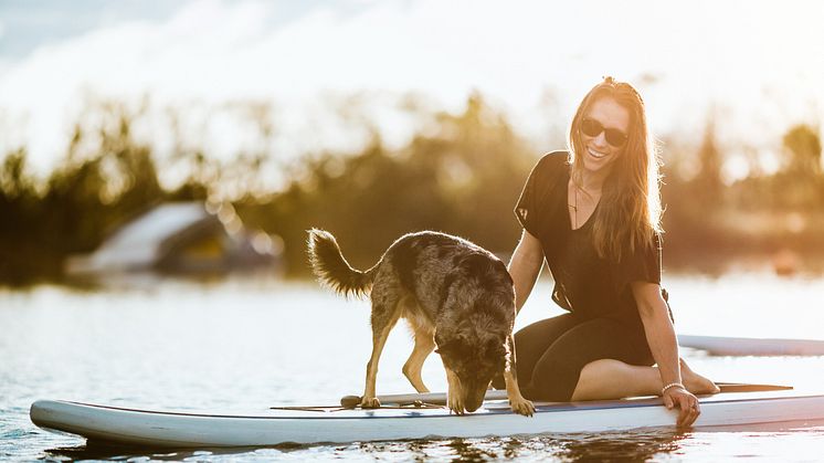 Fressnapf Reisen: Urlaub mit Hund leicht gemacht