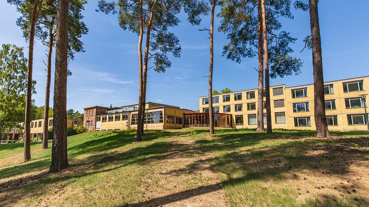 2021 soll der BRANDENBURG-TAG in Bernau stattfinden. Hier ist auch das Unesco-Weltkulturerbe Bundesschule Bernau beheimatet. Foto: TMB-Fotoarchiv/Steffen Lehmann. 