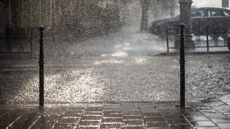 Ekstremt vejr fører til ekstreme problemer. En rekordvåd sommer i Danmark kan være skyld i øget forurening af naturen. Foto: PR.