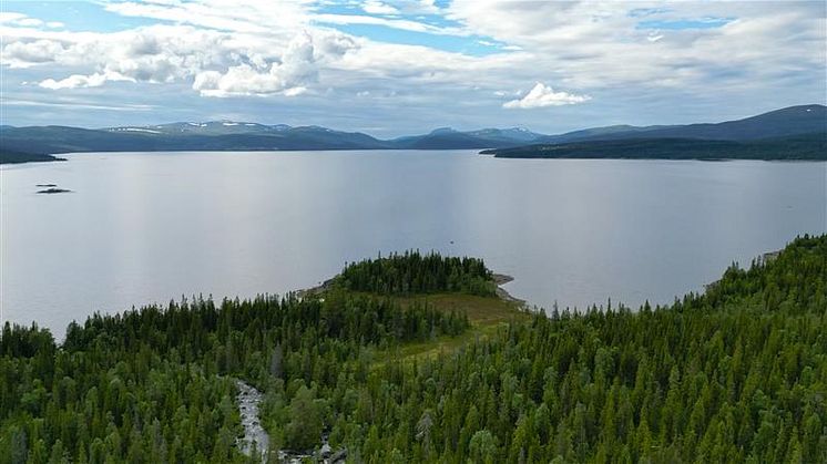 Ullersjöbäckens gammelskog är ett av de områden som Icebug varit med och räddat för kommande generationer. 
