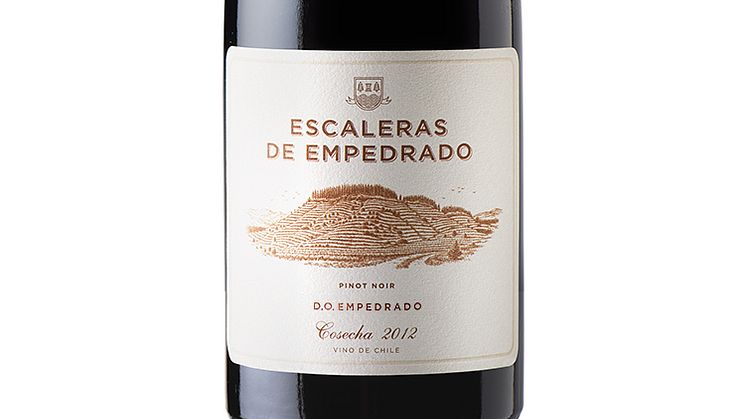 Ny unik Pinot Noir från Chile 