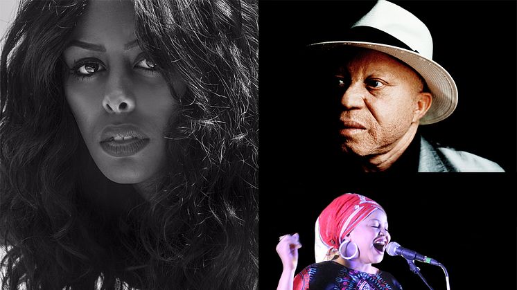 Cherrie, Salif Keita och Dur Dur Band International är några av de artister Selam Festival Stockholm kan stoltsera med 2018.